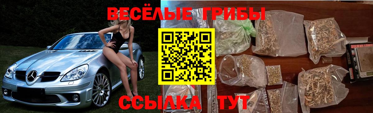 Зима  Галлюциногенные грибы GOLDEN TEACHER  Вход с VPN 